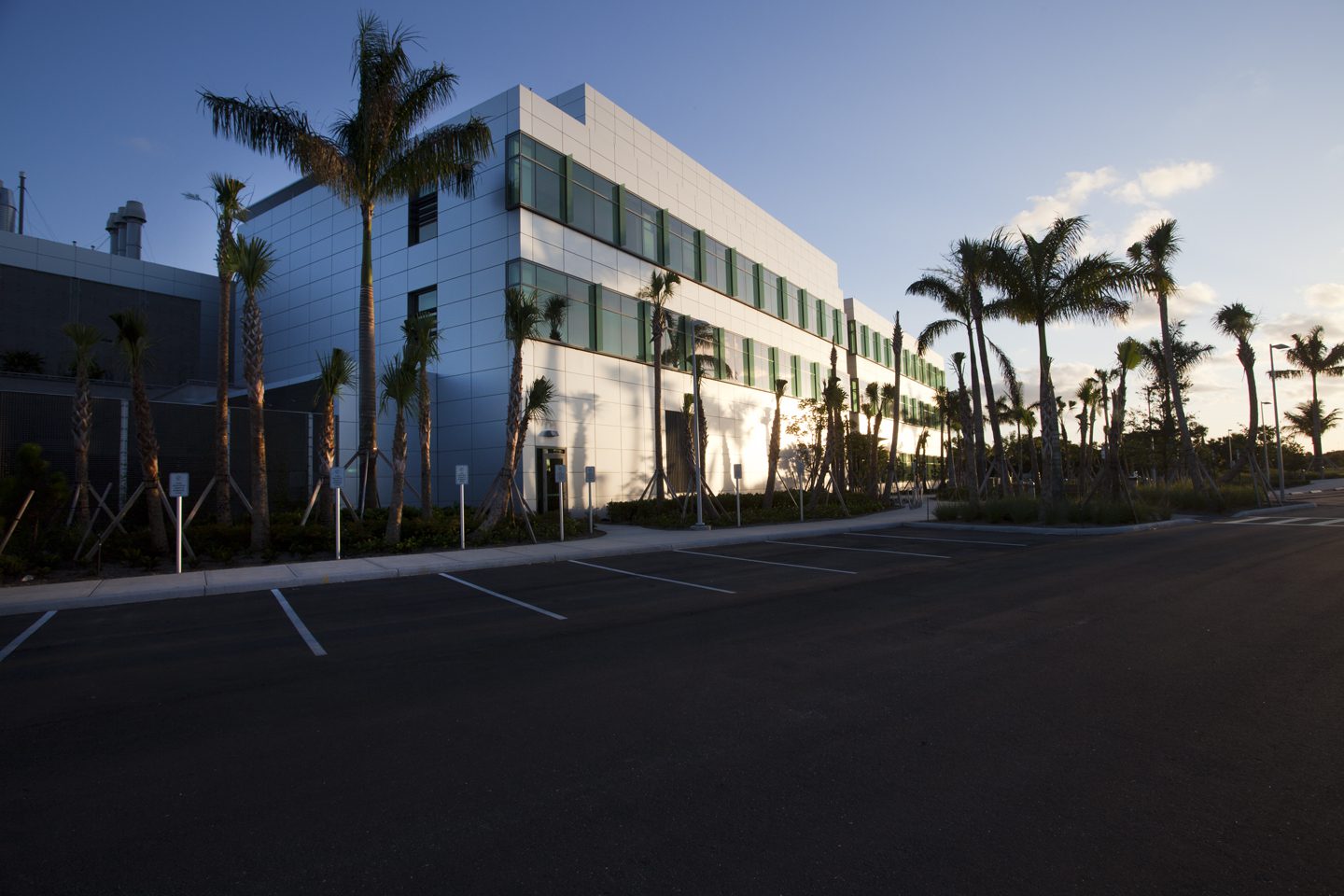 Modern office building with palm trees at sunset.
