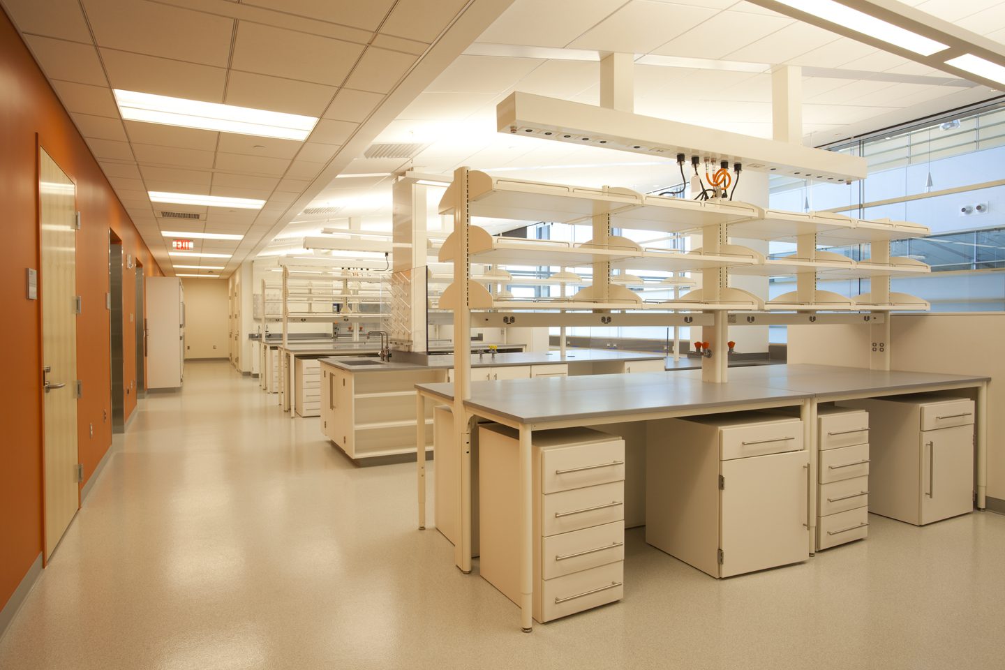 A clean, spacious laboratory with empty shelves and workstations.